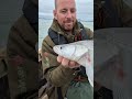 🇭🇺 Szürreális élmény, mozgóképen is – Ez a Balaton, barátom! 🎥⚡️ #pergetés #horgászat #fishing