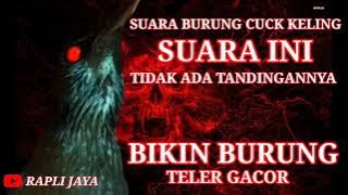 SUARA BURUNG CUCAK KELING SUARA BIKIN BURUNG CEPAT GACOR#suaraburungcucak#keling#