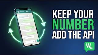 WhatsApp Business API Setup Without Losing Your Number (Coexistence 2026)