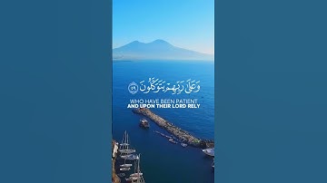 أرح قلبك ♥️#قران_كريم #قران_الفجر #قرآن #قران #تلاوات_خاشعة #اسلام_صبحي #تلاوات #ادريس_ابكر #fyp