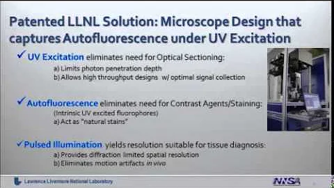 Noninvasive in vivo imaging of Tissue Pathology by...