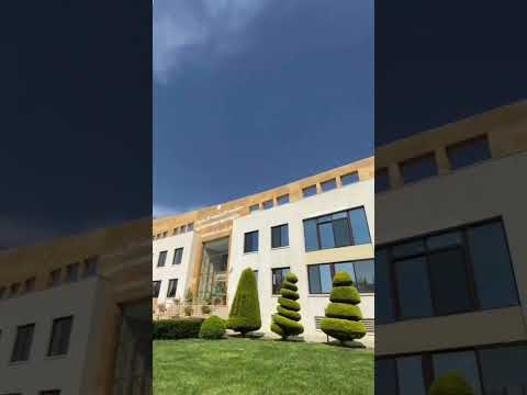 جامعه الزيتونه