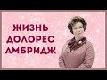 🎀 Жизнь Долорес Амбридж🎀