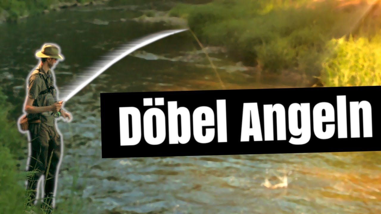 Döbel Angeln im Fluss - Fliegenfischen im Sommer