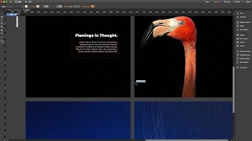 Multiscroll Widget | Tutorial by MuseThemes.com