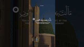 SURAH AL-QALAM [ Ayat 1-7 ] Recitor - @abbadihoussem