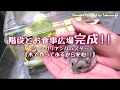 階段とお食事広場完成!!【ハムスターを飼うと癒されますね。】