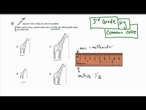 Measuring Inches - Grade 3 Common Core Standards - YouTube