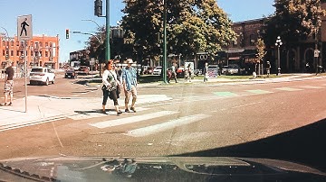 Adaptive Decision-Making at Crosswalks: A Driver
