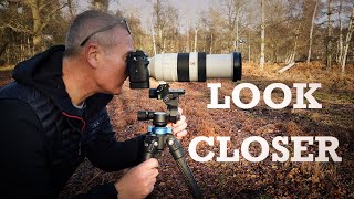 Look Closer : Using a telephoto lens: Woodland Photography