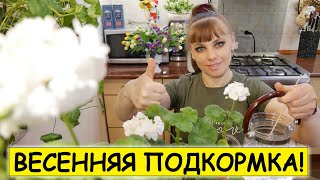 ВЕСЕННЯЯ ПОДКОРМКА / ЯНТАРНАЯ КИСЛОТА / для комнатных растений