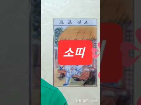 <strong>소띠</strong> 오늘의운세 2024년9월24일 화요일 운세 총운 #운세 #오늘의운세 #2024년운세