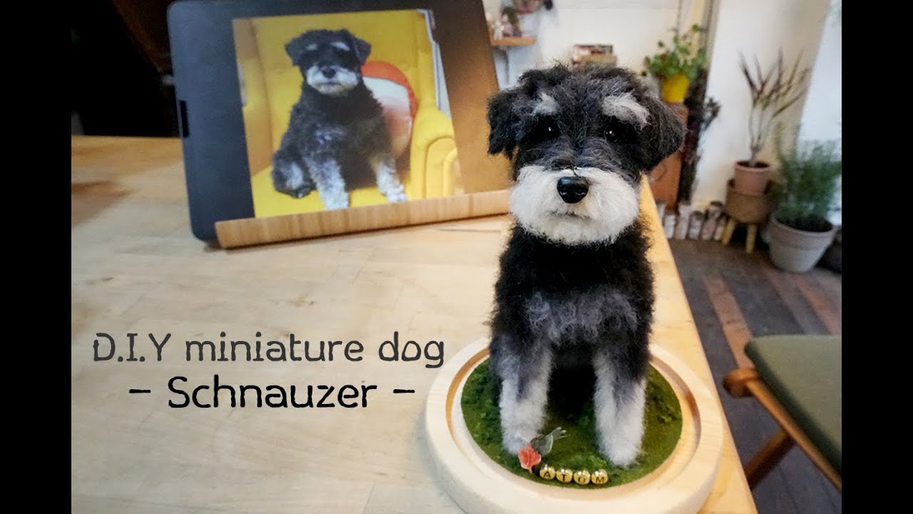 D.I.Y miniature dog Schnauzer (Asmr) - YouTube