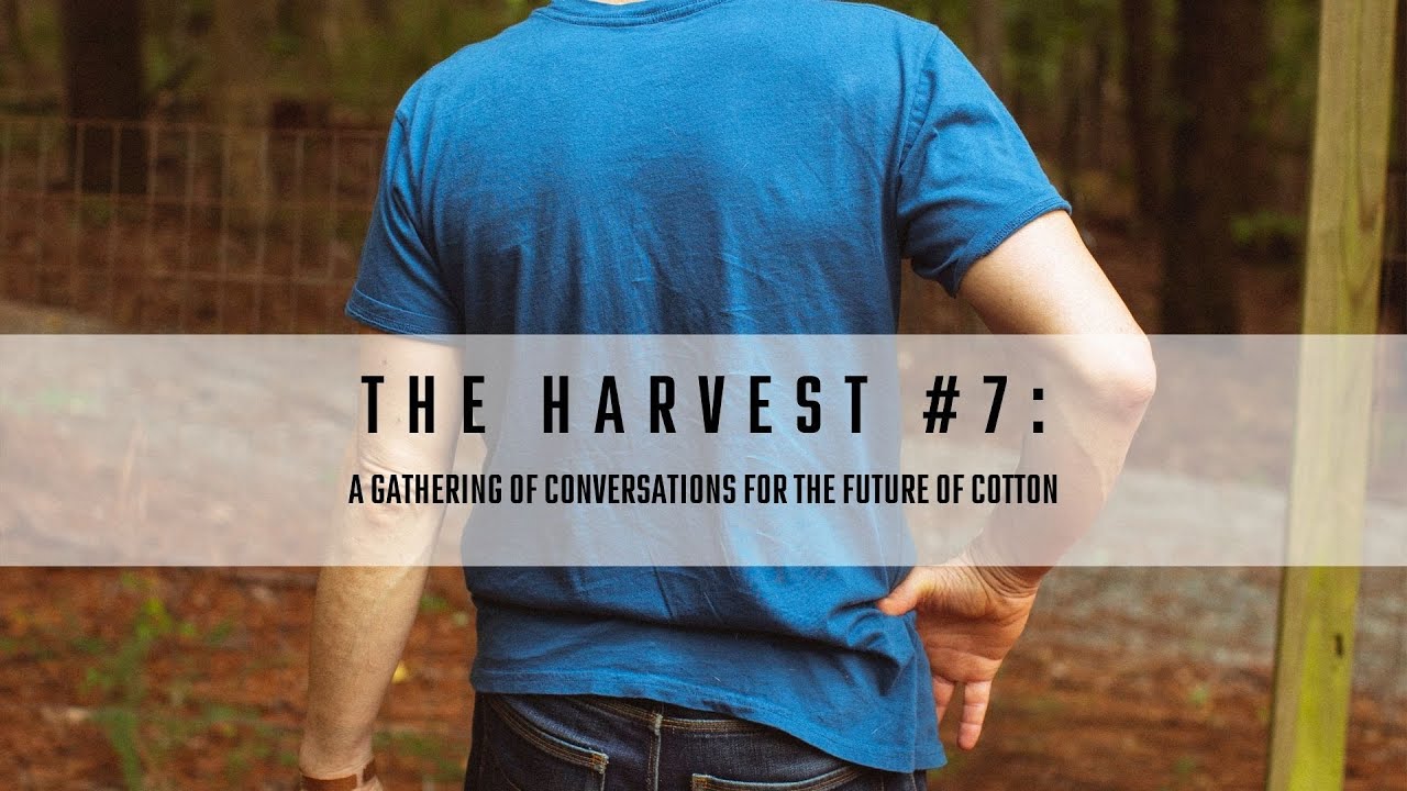 The Harvest #7: Garment Dyeing at TS Designs