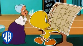 Looney Tunes | The Bingo Connection | WB Kids