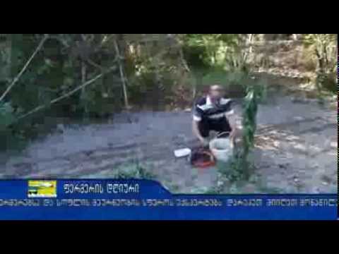 ფერმერის დღიური ახალი შესაძლებლობები ფერმერთათვის 2013