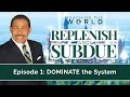 Dominate the System - Replenish and Subdue