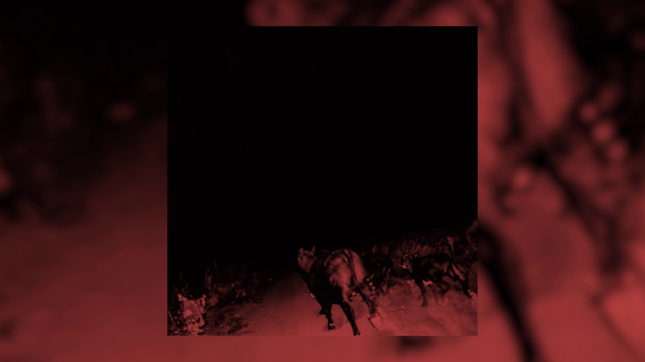 Watch Bambara - Dark Circles on YouTube