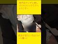 #shorts シスターお姉さんが誘惑してくる動画