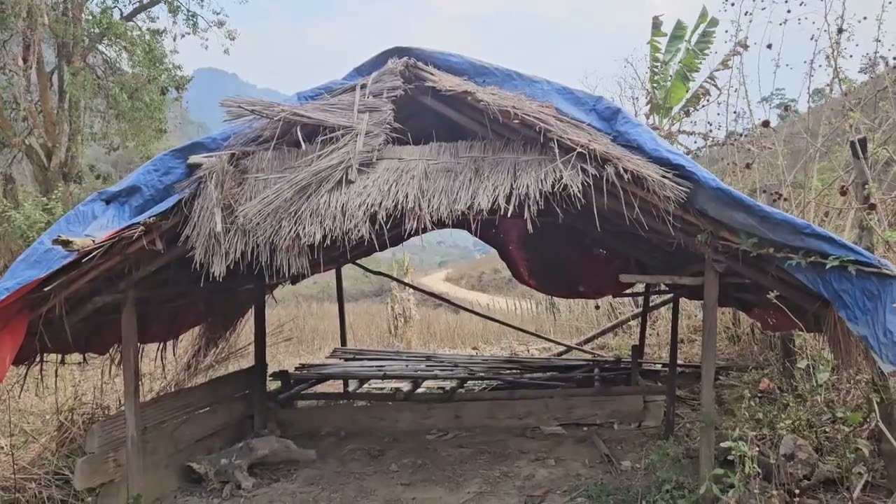 Разочарование из-за нелюбящих родителей