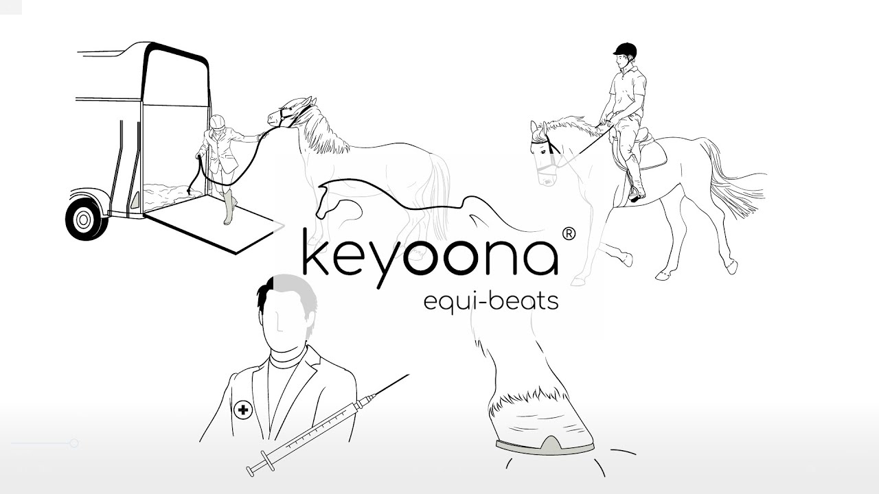 keyoona® equi-beats: Entspannte Pferde sind motivierte Pferde!