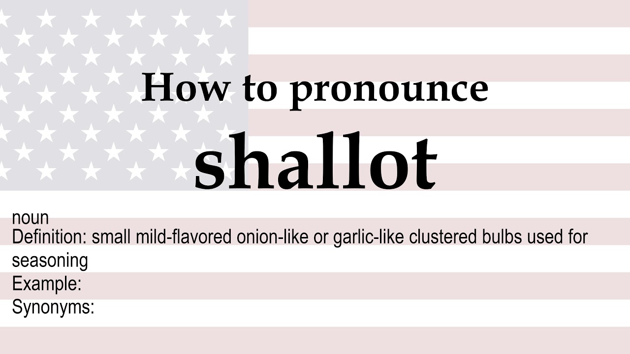 SHALLOT definition in American English