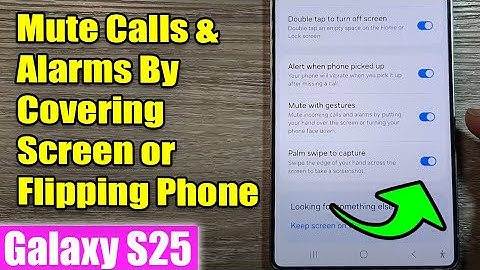 🔇 Mute Calls & Alarms by Covering Screen or Flipping Phone → Galaxy S25 Series Guide