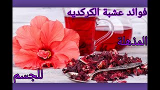 فوائد عشبة الكركديه المذهلة للجسم