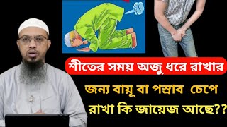 শীতের সময় অজু ধরে রাখার জন্য বায়ূ বা পস্রাব চেপে রাখা কি জায়েজ আছে  শায়খ আহমাদুল্লাহ।