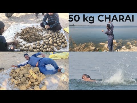 New Year Surprise Spot Ready | 50KG Charai | Part-2