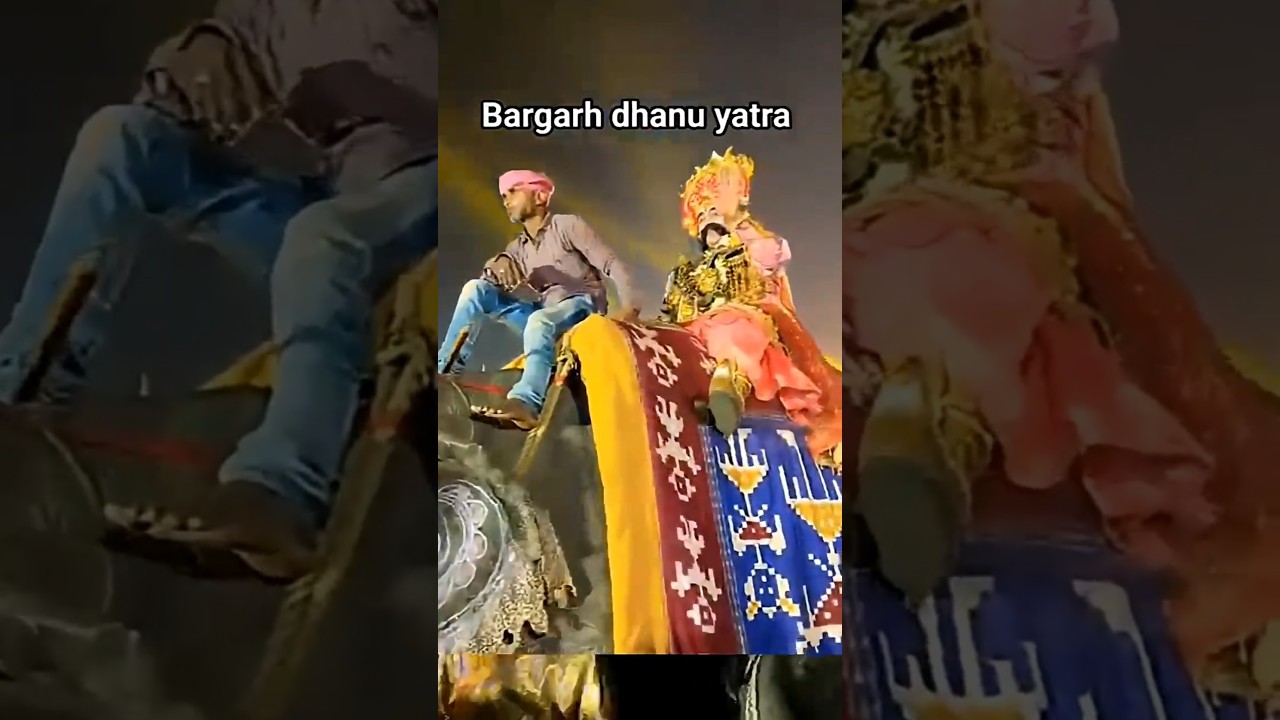 Bargarh dhanu yatra #dhanuyatra #dhanu #bargarhdhanuyatra #bargarhdhanujatra #bargarh #sambalpuri