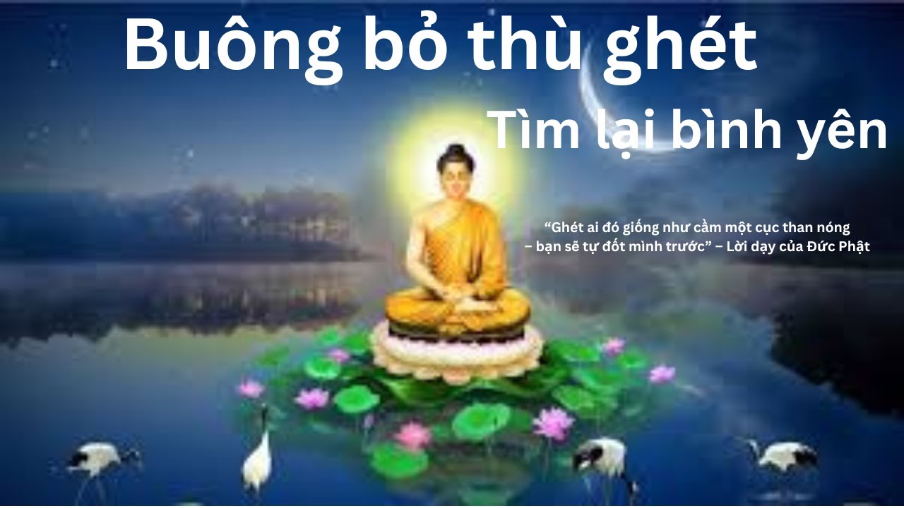 Bài 9: Buông bỏ thù ghét – tìm lại bình yên.