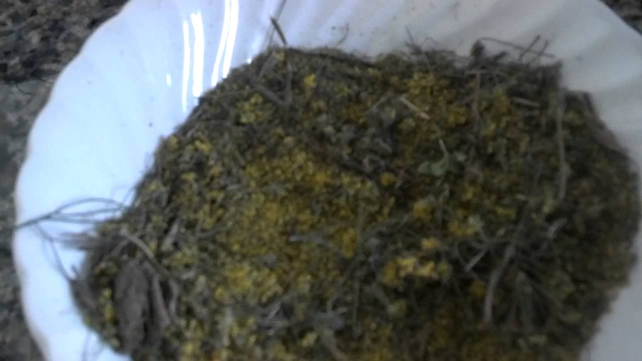 Fennel pollen! YouTube