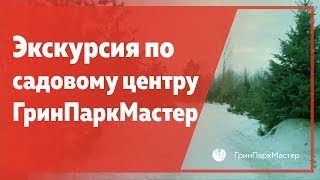 видео Почему лиственные деревья сбрасывают листья на зиму, а хвойные нет? ⋆Детский мир