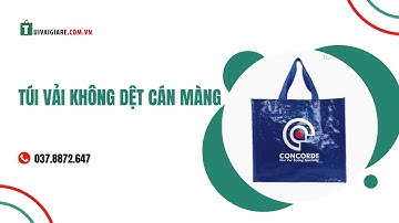 Túi Vải Không Dệt Cán Màng | tuivaigiare.com.vn