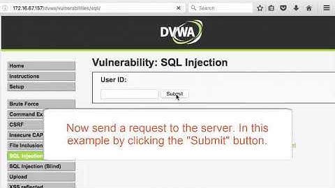 Using Burp to Test For Injection Flaws | Using Burp to Test for the OWASP Top Ten | Burp suite