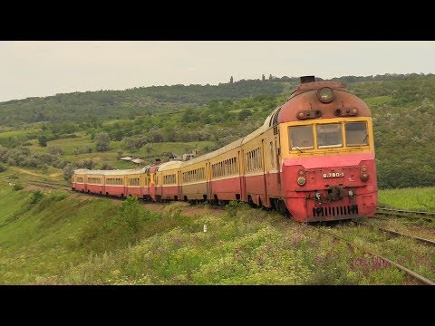 Дизель-поезда Д1-780+706/770 на о.п. Бумбэта / D1-780+706/770 DMU's at Bumbata stop