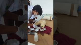 perawatan Perenium. Maulana Ikhsan (202112108)
