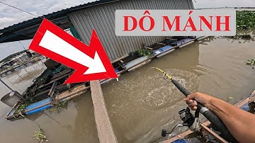 LẦN ĐẦU CÂU CÁ TRA TRÊN BÈ VÀ CÁI KẾT TRÚNG MÁNH KÉO ĐƯỢC CẢ BẦY CÁ TRA SÔNG