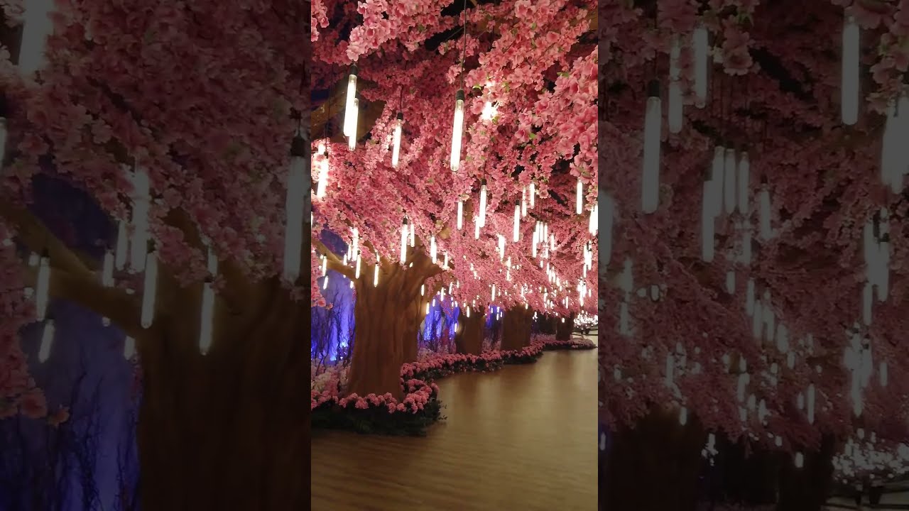 An exclusive insight inside a Royal Qatari  Wedding 💕 #lebaneseweddings #bazevents #shorts