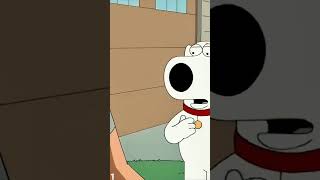 FAMILY GUY . SEASON 22           ...1