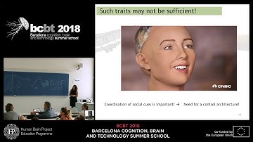 The social Robots. Vicky Vouloutsi