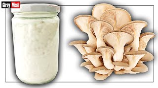 You can grow oyster mushrooms by making your own grain spawn. Mushroom cultivation at home