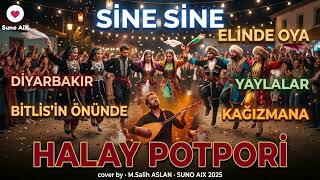 Sine Sine ✦ Elinde Oya ✦ Diyarbakır ✦ Yaylalar ✦ Bitlis 🥁 Halay Potpori Ai Cover 2026