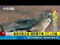 台灣各地工安、火警與住宅災害