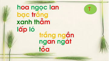 Tập đọc lớp 1: Bài  Hoa Ngọc Lan