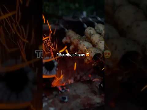 Підписуйся! Ті самі