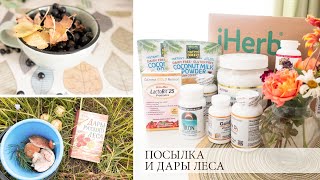 IHERB Посылка СЕЙЧАС: ДОРОГО ИЛИ  ВЫГОДНО 🌿  ДАРЫ ЛЕСА