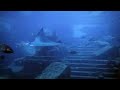 Underwater Ruins Discovered in Bahamas 2017
