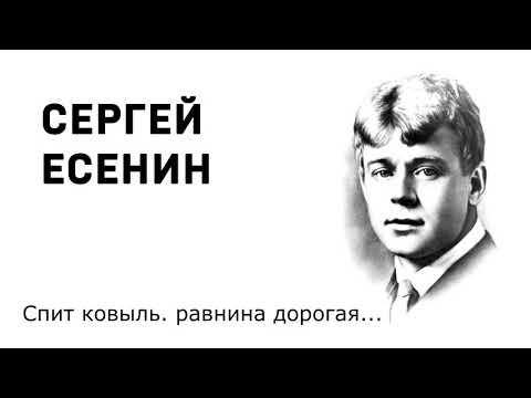 Сергей Есенин Спит ковыль  равнина дорогая Учить стихи легко Аудио Стихи Слушать Онлайн